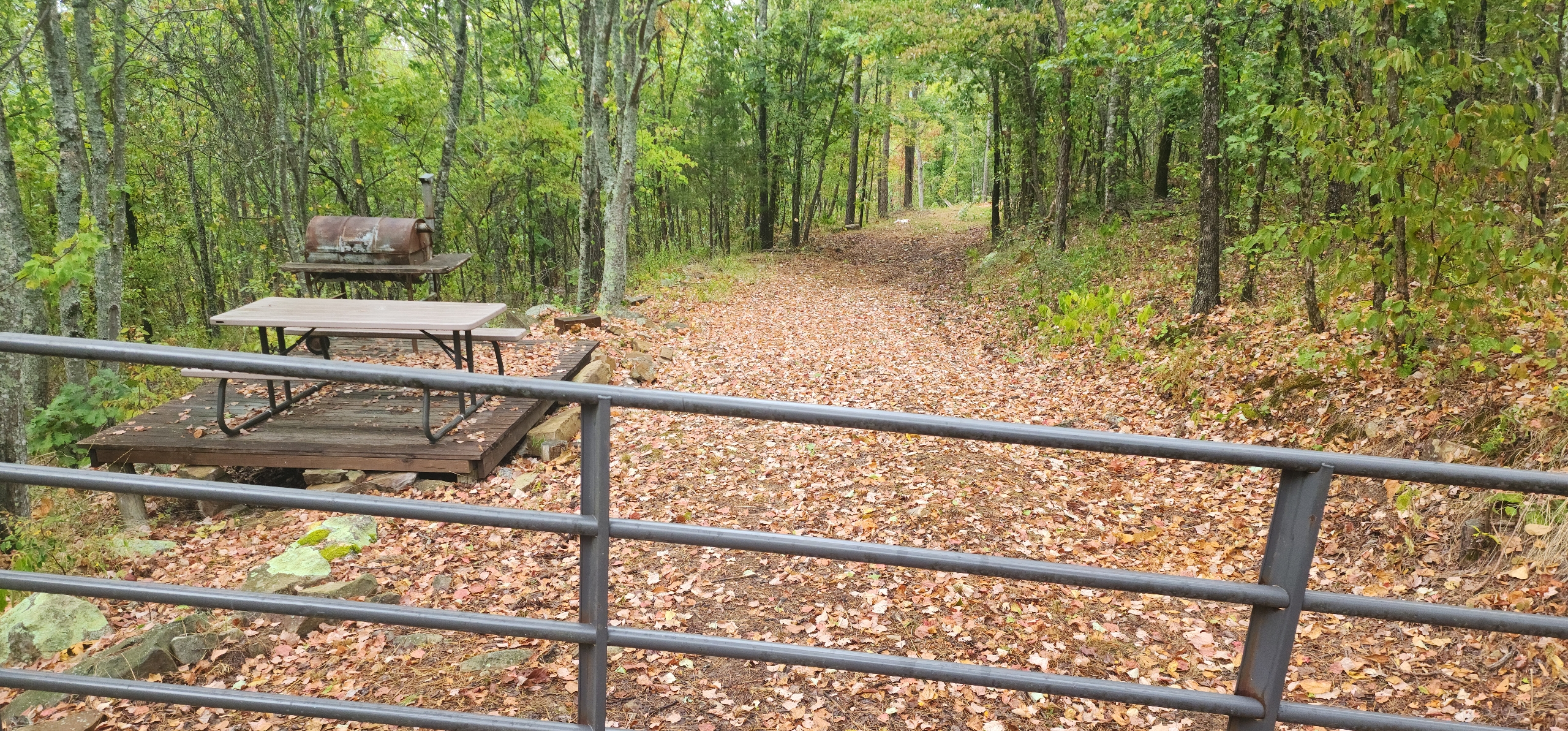 Resized_20240911_171904_1726103821189